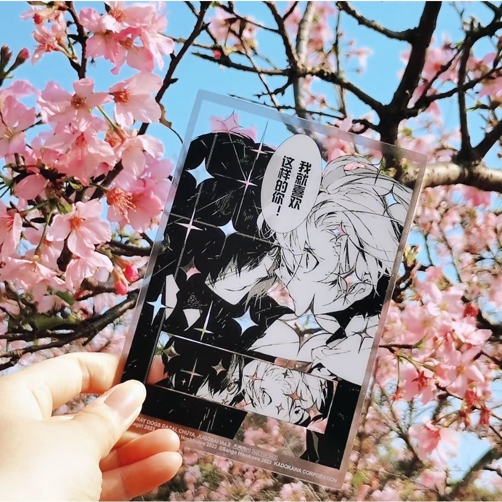 Anime Cosplay Photo - Nuova figura letteraria fatta da sé,